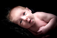 Willow2015-0005