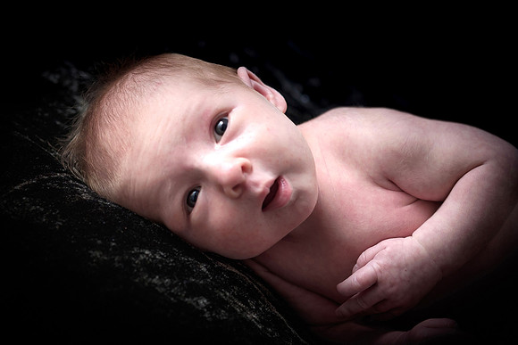 Willow2015-0005