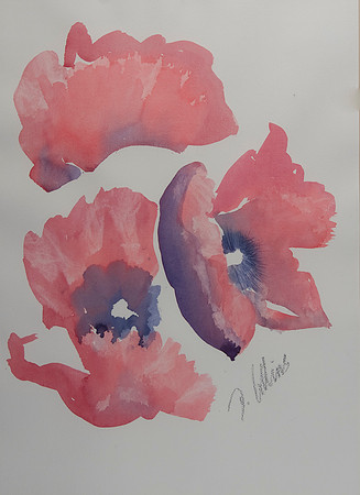 Doreen_Collins_0015